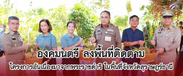 องคมนตรี ลงพื้นที่ติดตามโครงการอันเนื่องมาจากพระราชดำริ ในพื้นที่จังหวัดสุราษฎร์ธานี